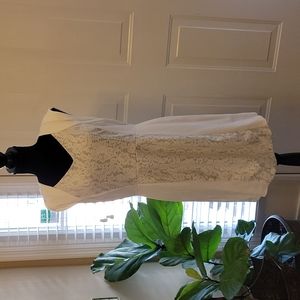 Antonio Melani cream gray lace dress sweetheart neck exposed zipr stretch 6 EUC…